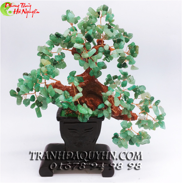 cây tài lộc đá ngọc đông linh